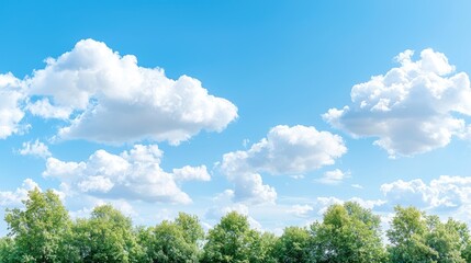 Sunny sky above green trees; summer landscape; nature background; website banner