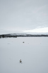 Frozen lake in North Finland in winter on a cloudy day. Moody landscape background.