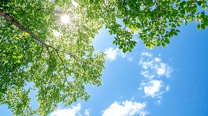 Fototapeta premium Vibrant Green Leaves and Sunny Blue Sky Nature Background Spring or Summer Scenery