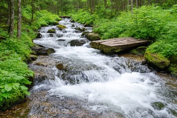 Obraz premium A fast-flowing waterfall deep in the forest, surrounded by lush green foliage