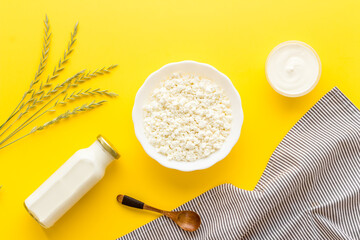 Protein food concept. Various dairy products - milk and cottage cheese with sour cream