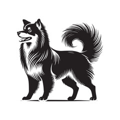 Formosan Mountain Dog Vector - Minimalist Formosan Mountain Dog Silhouette - Formosan Mountain Dog Illustration.