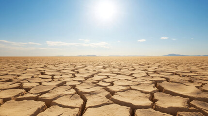 vast, dry desert landscape with cracked earth under bright sun, showcasing harshness of arid conditions and beauty of nature resilience