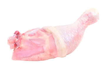  Chicken leg isolated