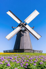 Authentic vintage rustic wooden windmill in a bright sunny summer vibrant floral field. Picturesque background wallpaper with nature