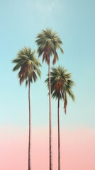 Obraz premium Tree outdoors nature plant.