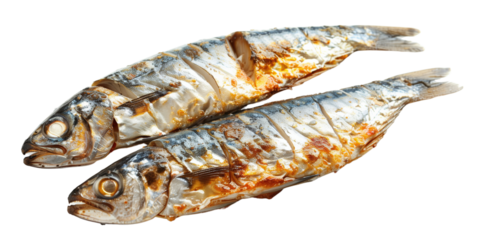 Sliced mackerel fish on transparent background, showcasing its detailed texture and color. Perfect for culinary presentations or seafood related content