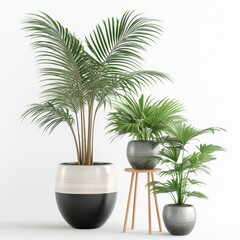 Fototapeta premium plant in a vase