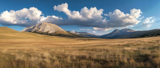Obraz premium Contemplative Views of Campo Imperatore Showcasing Vast Meadows and Majestic Mountains in Abruzzo, Italy
