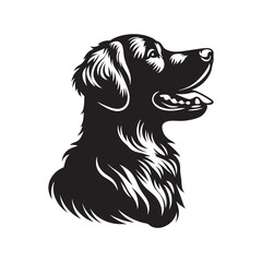 Golden Retriever Dog Silhouette - Golden Retriever Dog Vector - Illustration of Golden Retriever,