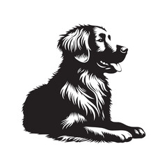 Golden Retriever Dog Silhouette - Golden Retriever Dog Vector - Illustration of Golden Retriever,