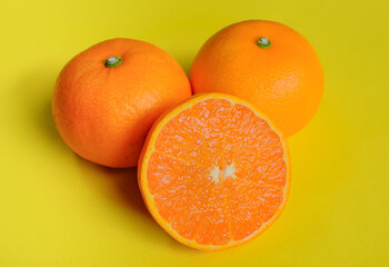 黄色背景で撮影したセトカ