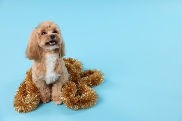 Cute dog with shiny tinsel on light blue background. Space for text