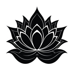 lotus flower isolated on white