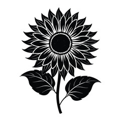 Fototapeta premium sunflower on a black background