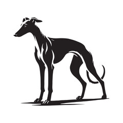Spanish Greyhound Silhouette - Spanish Greyhound Vector - Minimalist Spanish Greyhound Dog Design.