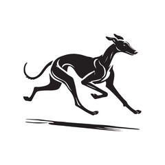 Spanish Greyhound Silhouette - Spanish Greyhound Vector - Minimalist Spanish Greyhound Dog Design.