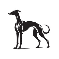 Fototapeta premium Spanish Greyhound Silhouette - Spanish Greyhound Vector - Minimalist Spanish Greyhound Dog Design.