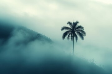 Cocora Valley: Home of the Quindio Wax Palm - South America's Tallest Palm Tree in Salento