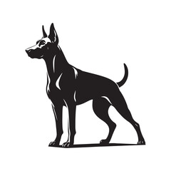 Minimalist German Pinscher Vector - German Pinscher Silhouette - Illustration of German Pinscher.
