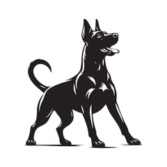 Minimalist German Pinscher Vector - German Pinscher Silhouette - Illustration of German Pinscher.