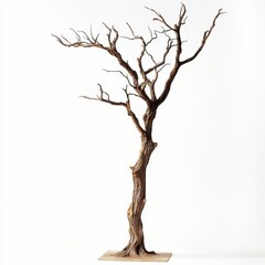 Fototapeta premium tree isolated on white background