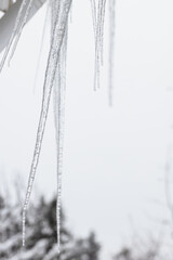 Icicles in close-up vertical view over winter sky