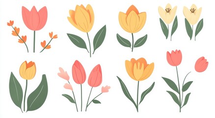 set of tulips