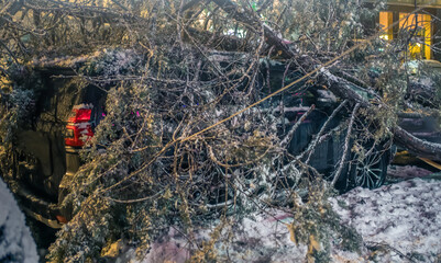 Fallen tree covered in ice and snow crushed parked car in Batumi, Georgia, during extreme winter...