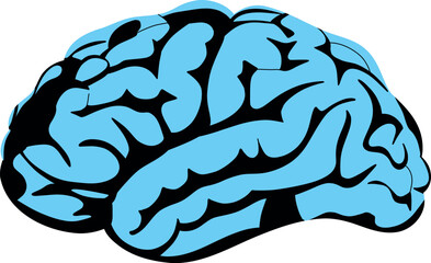 A vibrant and creative depiction of the human brain, filled with dynamic colors and intricate details. This artwork symbolizes intelligence, creativity, and imagination, making it perfect for educatio