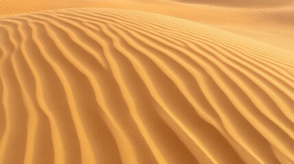 Waves of shifting sand forming intricate, wind-sculpted patterns in motion.