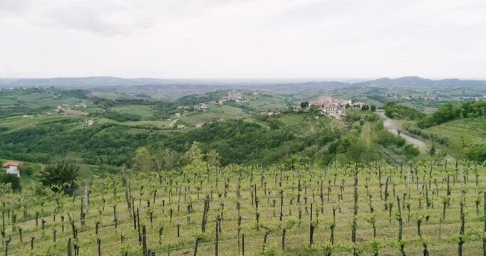 Aerial drone view pan of the Collio hills, Cormons, Nova Gorica near Gorizia. European Capital of Culture 2025. Typical local products vineyards and wines. Gonjače Tower places to visit and tradition.