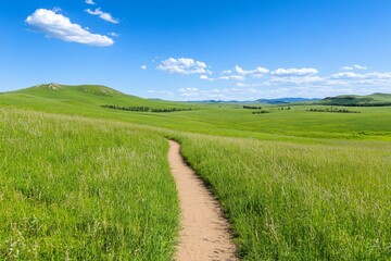 Fototapeta premium A narrow dirt path winding through a field of tall wild grasses leading to a distant farmhouse