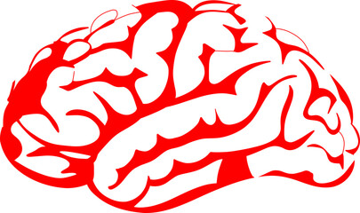 A highly detailed human brain with intricate textures and vibrant colors, symbolizing intelligence, creativity, and mental energy. Perfect for concepts related to neuroscience, cognition, and innovati