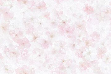 Seamless Pastel Cherry Blossom Floral Pattern – Soft Watercolor Pink and White Flowers