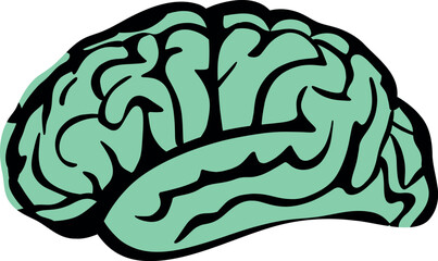 A highly detailed human brain with intricate textures and vibrant colors, symbolizing intelligence, creativity, and mental energy. Perfect for concepts related to neuroscience, cognition, and innovati
