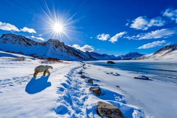 A pristine Arctic landscape with a polar bear walking across the icy tundra