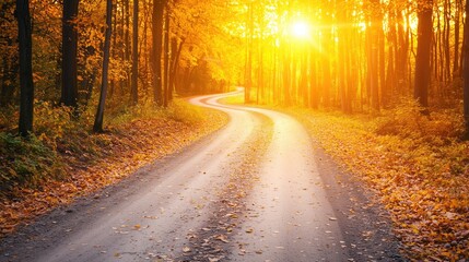 Fototapeta premium Scenic Autumn Road Through Forest