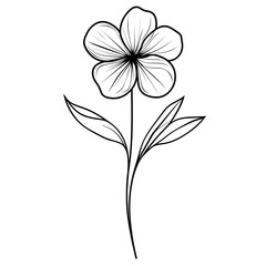 Artistic flower illustration with detailed petals and leaves in line art high resolution picture