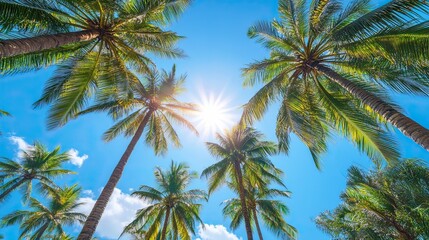 Tall green palm trees reaching toward the bright blue sky with the sun shining through the leaves