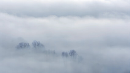 Fototapeta premium Soft mist enveloping distant trees, creating a serene and ethereal landscape