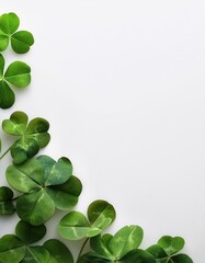 Green clover leaves arranged artistically on a white background in a creative layout