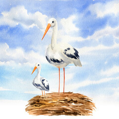 white stork with young chick in the nest against blue sky and clouds, wild flying bird in wildlife, watercolor illustration of animal life, hand drawn sketch of symbol of the birth of a child
