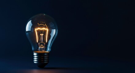 Illuminating Idea: A close-up shot of a lit light bulb, glowing with bright idea, set against a deep dark backdrop