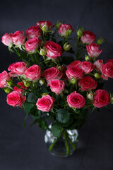 Beautiful bouquet of pink (red) roses bushes on a black background. Selective focus, close-up.