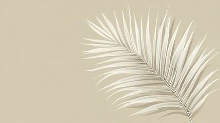 Elegant white palm leaf on soft beige background, adding a touch of nature.