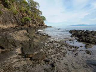 Trees growing on the cliffs on the rocky shore on Matapalo beach in Guanacaste, Costa Rica