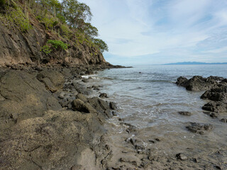 Trees growing on the cliffs on the rocky shore on Matapalo beach in Guanacaste, Costa Rica