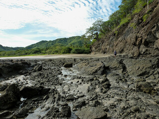 Trees growing on the cliffs on the rocky shore on Matapalo beach in Guanacaste, Costa Rica