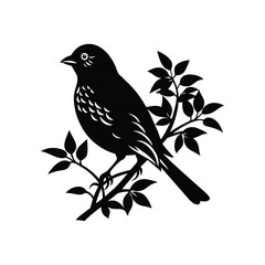 bird on a branch isolated on white background
